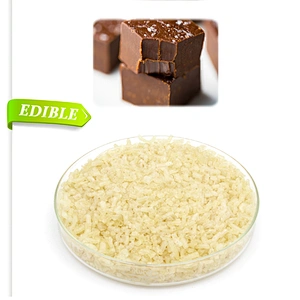 2024 Hot Selling Food Grade Gelatin Powder CAS 9000-70-8 Halal Gelatin 180 bloom 8 mesh